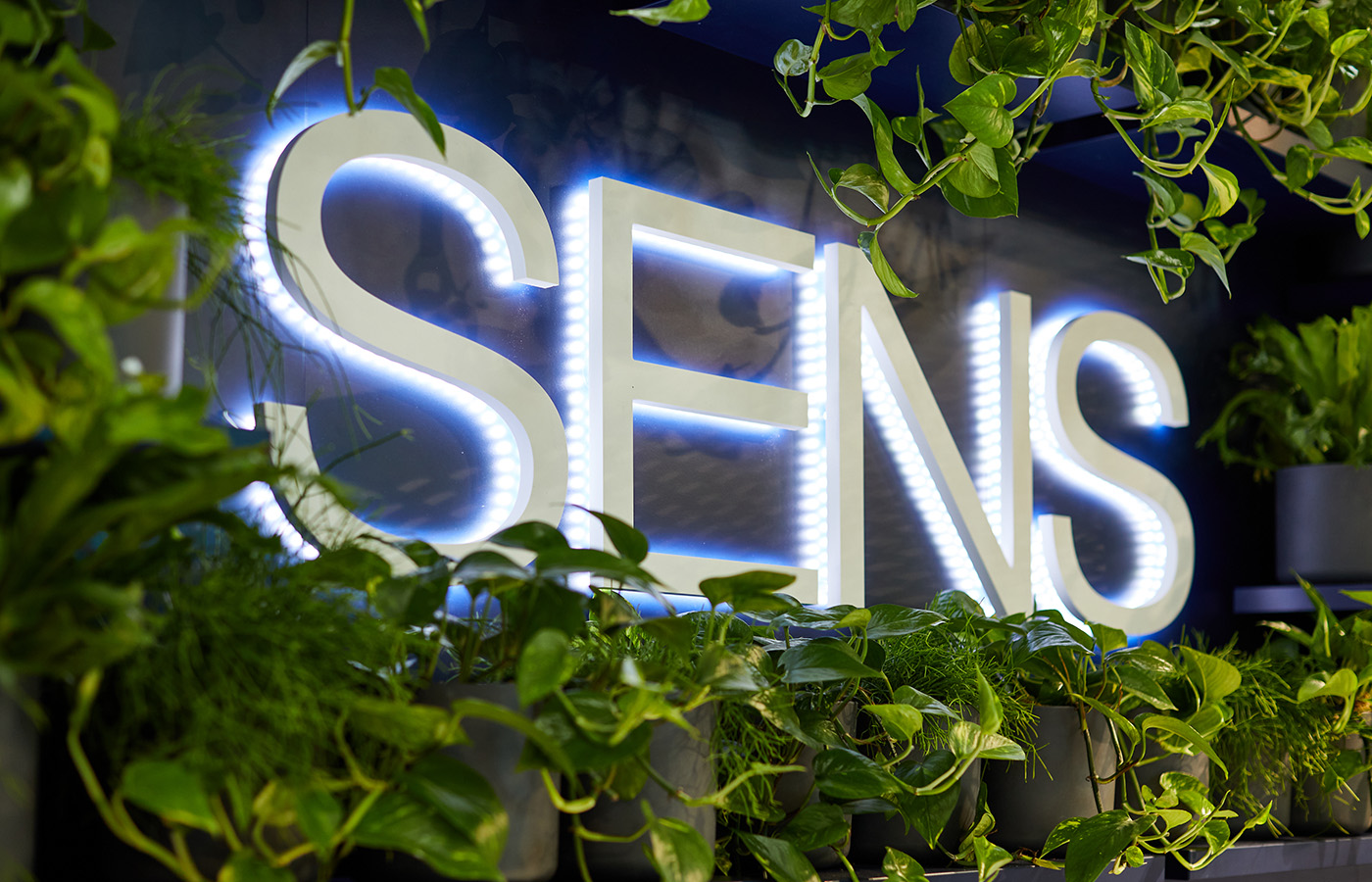 Beleuchtetes SENS Logo mit integrierter vertikaler Begrünung auf dem Messestand der Intersolar Smarter E in München. Das Zusammenspiel aus hinterleuchteter Markeninszenierung, lebenden Pflanzen und moderner Architektur unterstreicht den nachhaltigen Charakter des Messeauftritts und schafft eine hochwertige, einladende Atmosphäre.